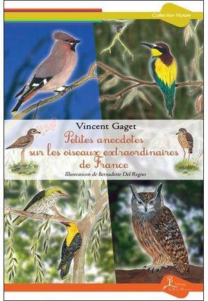 Petites anecdotes sur les oiseaux extraordinaires de France