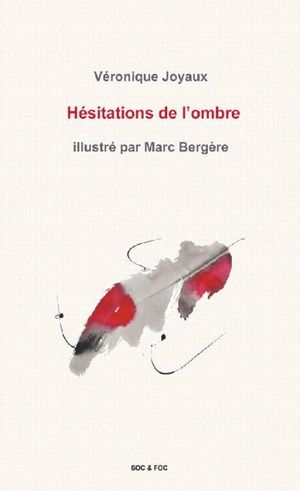 Hésitations de l'ombre