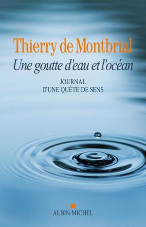 Une goutte d'eau et l'océan