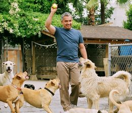 image-https://media.senscritique.com/media/000012674840/0/dog_whisperer_with_cesar_millan_family_edition.jpg
