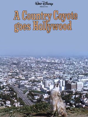 Un Coyote se Rend à Hollywood