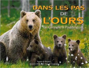 Dans les pas de l'ours