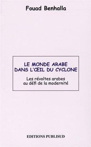 Le monde arabe dans l'oeil du cyclone
