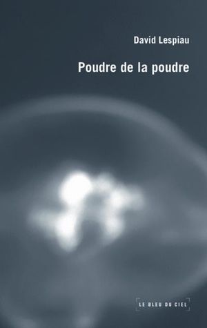 Poudre de la poudre