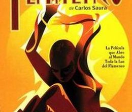 image-https://media.senscritique.com/media/000012684180/0/flamenco.jpg