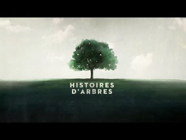 Histoires d'arbres