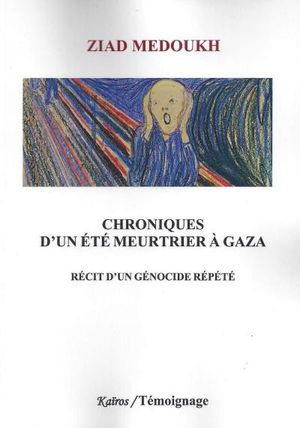 Chroniques d'un été meurtrier à Gaza