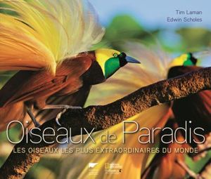 Oiseaux de paradis