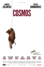 Affiche Cosmos Affiche Cosmos