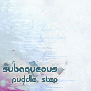 Puddle Step