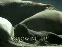 Growing Up