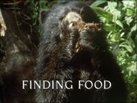 Finding Food