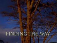 Finding the Way