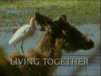 Living Together