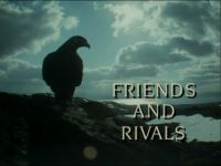 Friends and Rivals