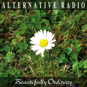 Beautifully Ordinary (Single)