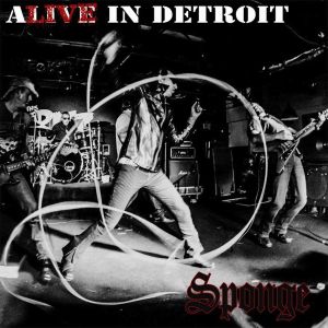 Alive in Detroit (Live)