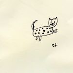 Pochette Starry Cat