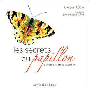 Les secrets du papillon