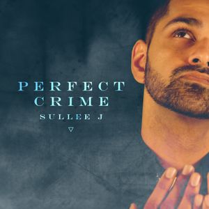 Perfect Crime