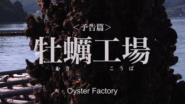 Oyster Factory