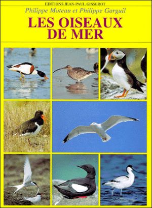 Les oiseaux de mer