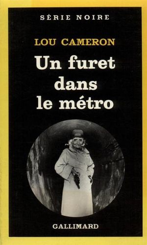 Un Furet dans le métro