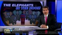 The Elephants in the Room