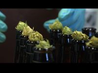 O’so Brewing Company