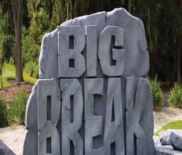 image-https://media.senscritique.com/media/000012925586/0/the_big_break.jpg