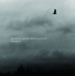 What The Ghosts Want Us To Do (Single)