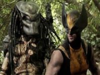 Wolverine vs Predator