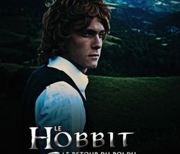 image-https://media.senscritique.com/media/000012963900/0/le_hobbit_le_retour_du_roi_du_cantal.jpg