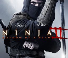 image-https://media.senscritique.com/media/000012964444/0/ninja_ii_shadow_of_a_tear.jpg