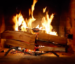image-https://media.senscritique.com/media/000012964957/0/fireplace_for_your_home.png