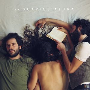 La scapigliatura