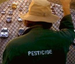 image-https://media.senscritique.com/media/000013030898/0/pesticide.jpg