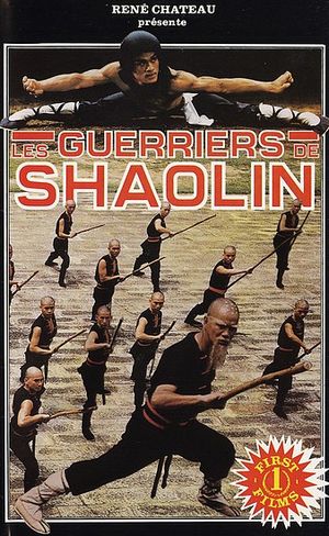 Les guerriers de Shaolin