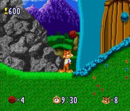 image-https://media.senscritique.com/media/000013047572/0/Bubsy_Two_Fur.jpg