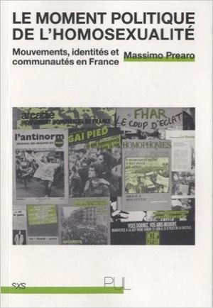 Le moment politique de l'homosexualité; Mouvements, identités et communautés en France