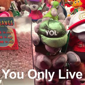 You Only Live (Live)