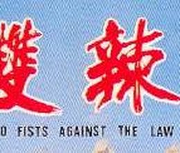image-https://media.senscritique.com/media/000013181968/0/two_fists_against_the_law.jpg