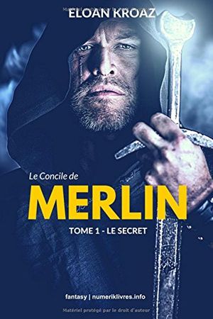 Le concile de Merlin