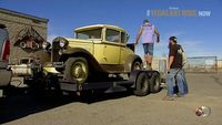 Stampede Rod