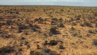Simpson Desert (2)