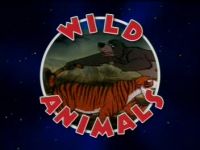 Wild Animals