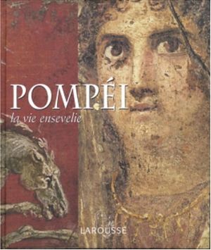 Pompéi : la vie ensevelie