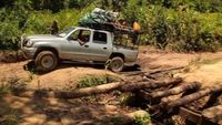 Madagascar, pistes, saphirs et bois précieux