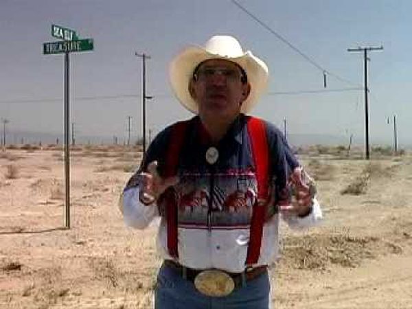 Plagues and pleasures on the Salton Sea