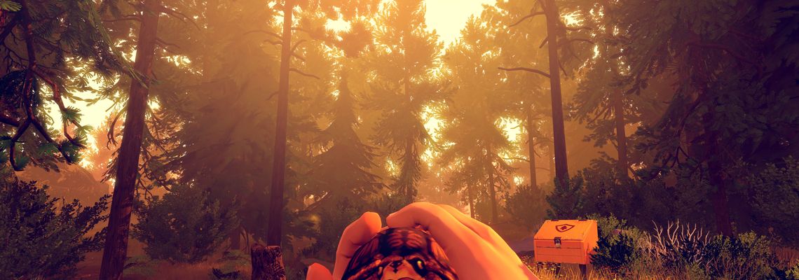Cover Firewatch